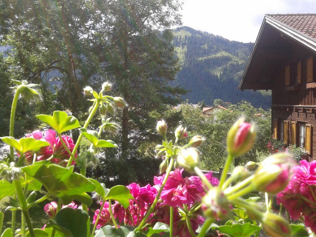 Haus Bergwelt Apartment Graen Luaran gambar